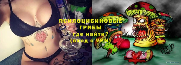 mdma Медвежьегорск