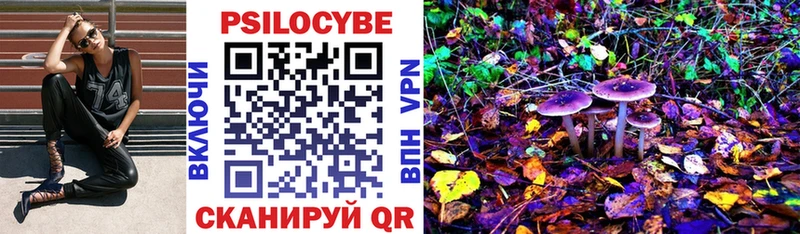 Псилоцибиновые грибы Cubensis  ОМГ ОМГ ссылка  Аксай  продажа наркотиков 